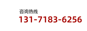 0316-6083778